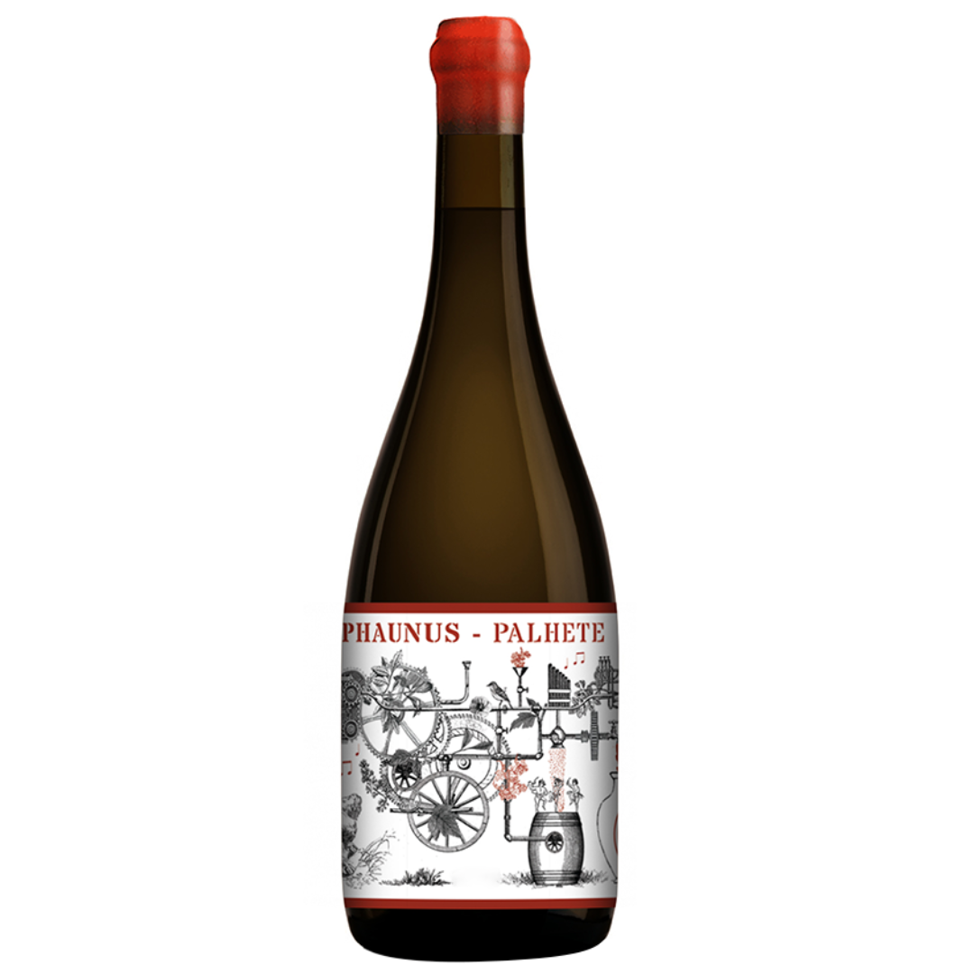 Phaunus Amphora Palhete 2022, 75cl