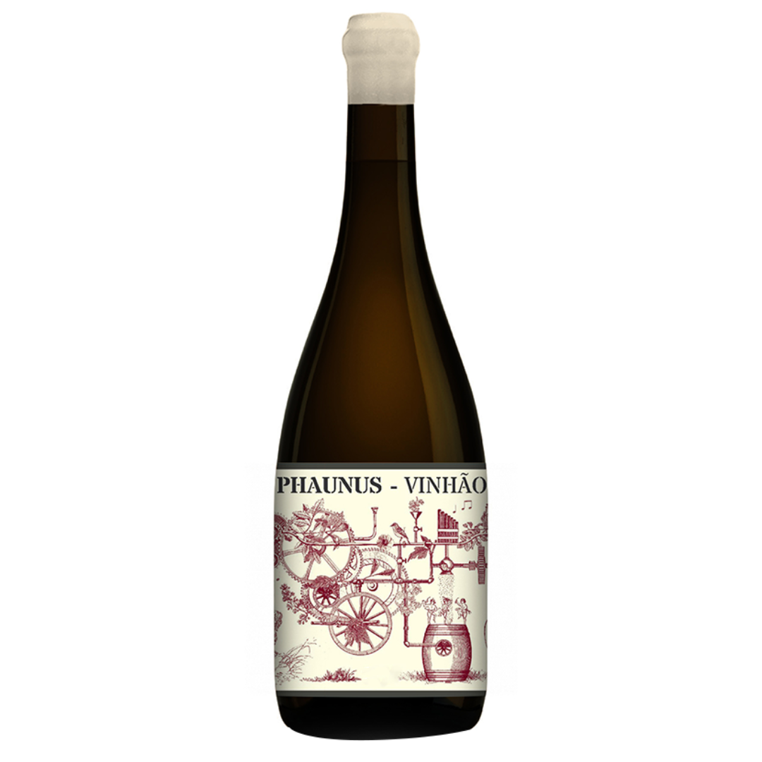 Phaunus Amphora Vin Rouge 2020, 75cl