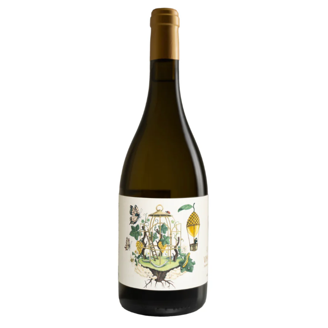 Cortinha Velha Alvarinho Reserva White 2021, 75cl